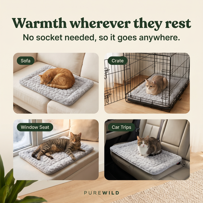 Pure Wild Cat Mat
