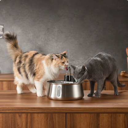 Kitty Hydration Fountain