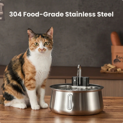 Kitty Hydration Fountain