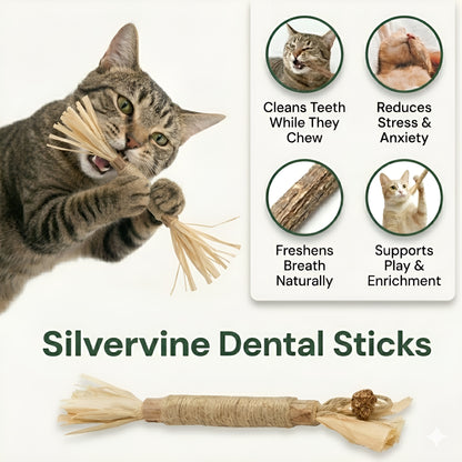 Natural Silvervine Dental Sticks