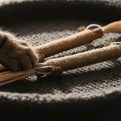 Natural Silvervine Dental Sticks