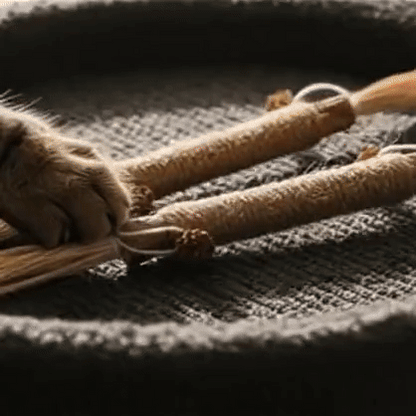 Natural Silvervine Dental Sticks