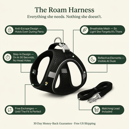 The Roam Harness