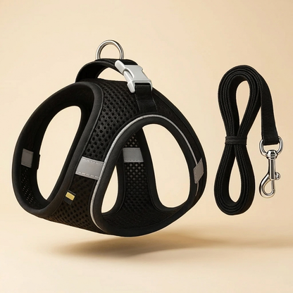 The Roam Harness