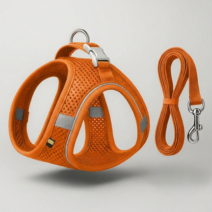 The Roam Harness