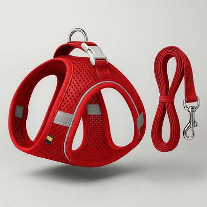 The Roam Harness