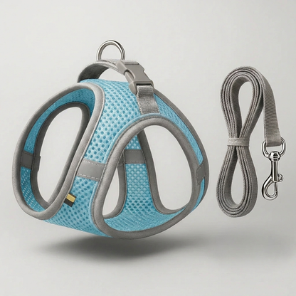 The Roam Harness